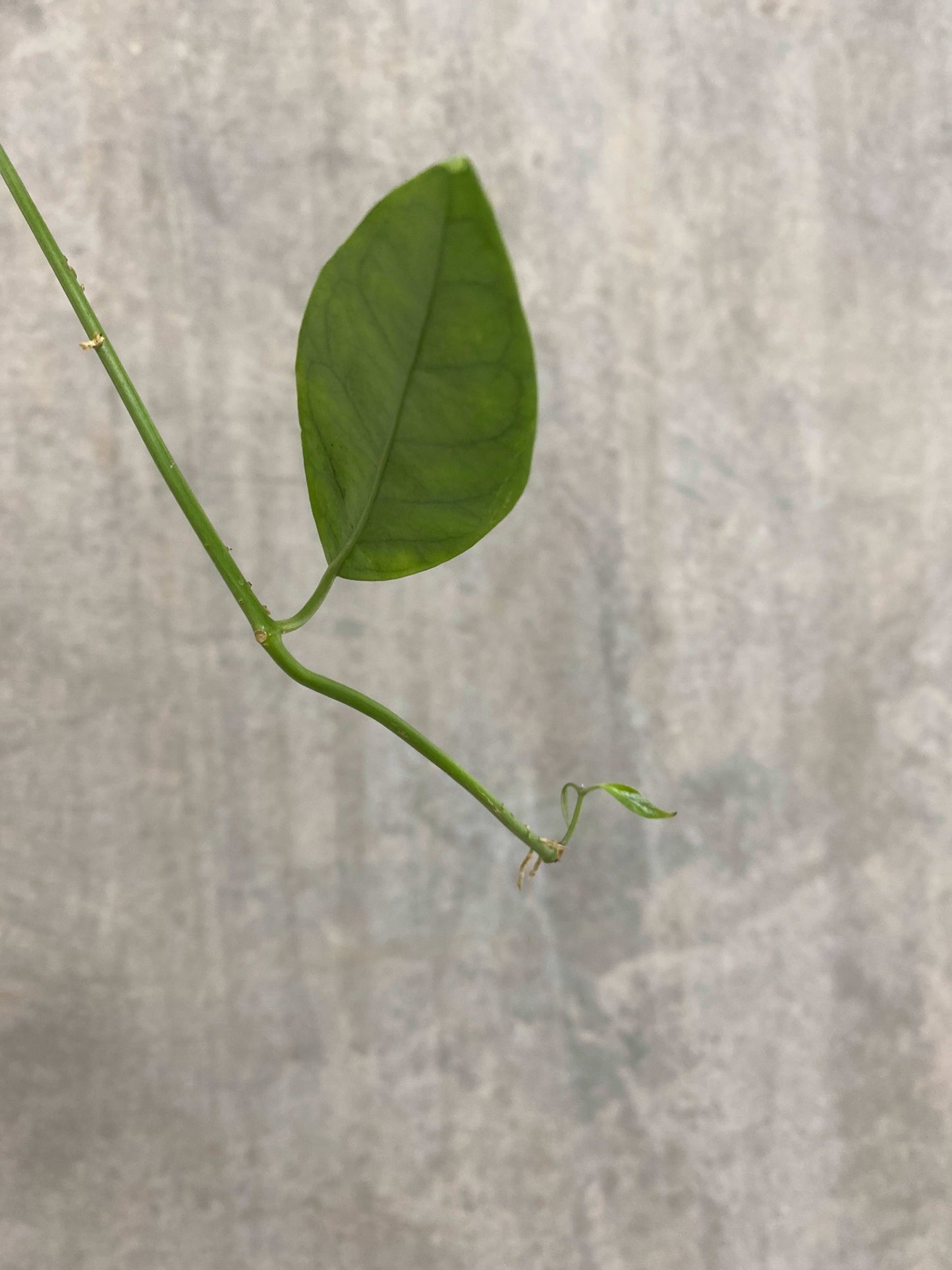 02423edf-7e12-42cf-9cd1-6398bc643cc9.jpg