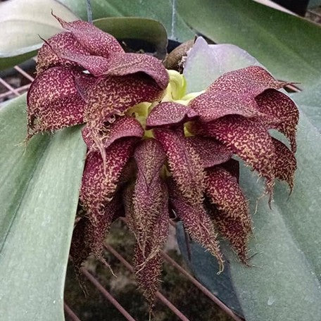 0995cc39-7f97-44e2-9b8b-3439658a5508.jpg