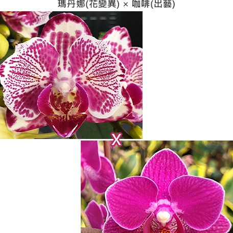 43d165b4-05fb-46dc-933b-35485b19e457.jpg