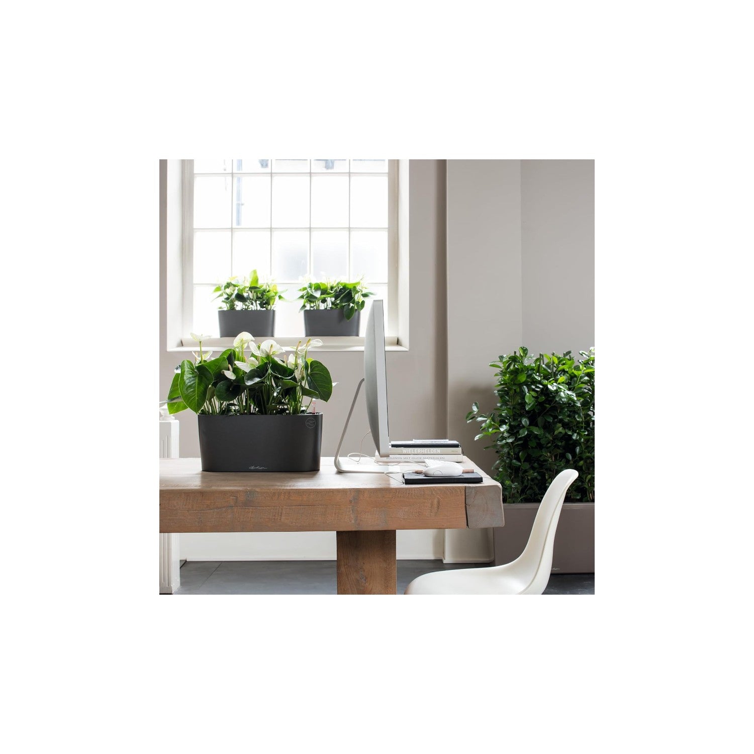 lechuza delta self watering indoor planter Lechuza Delta 10