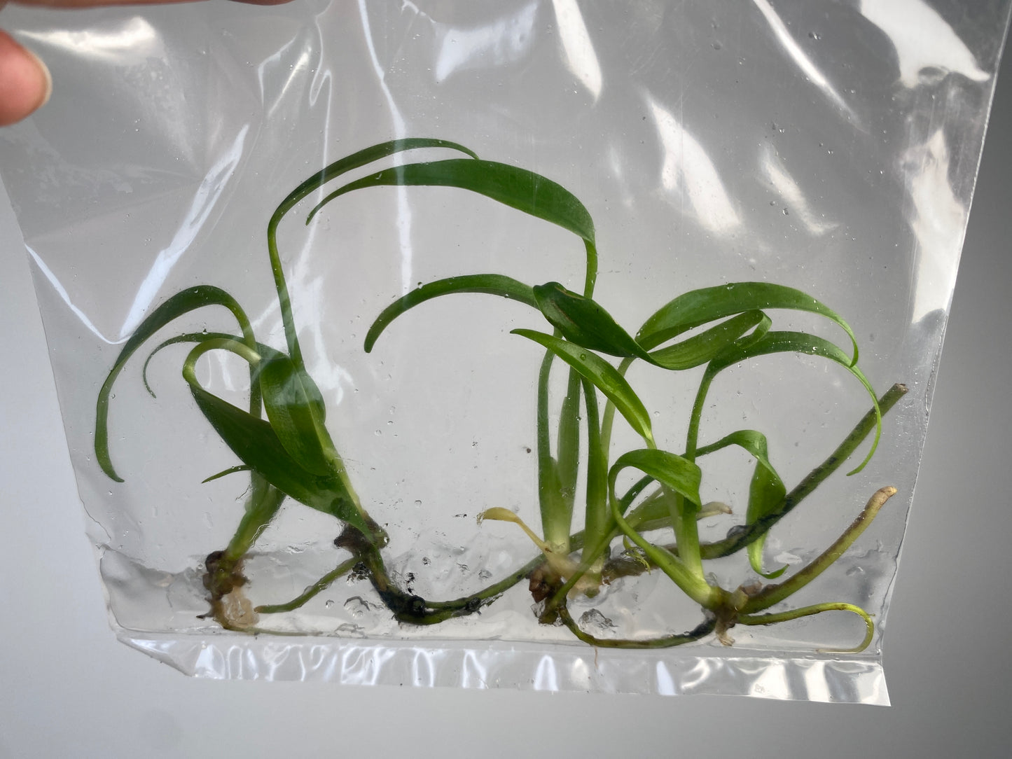 56d75353-f6aa-42dc-a234-20cf07eaffac.jpg