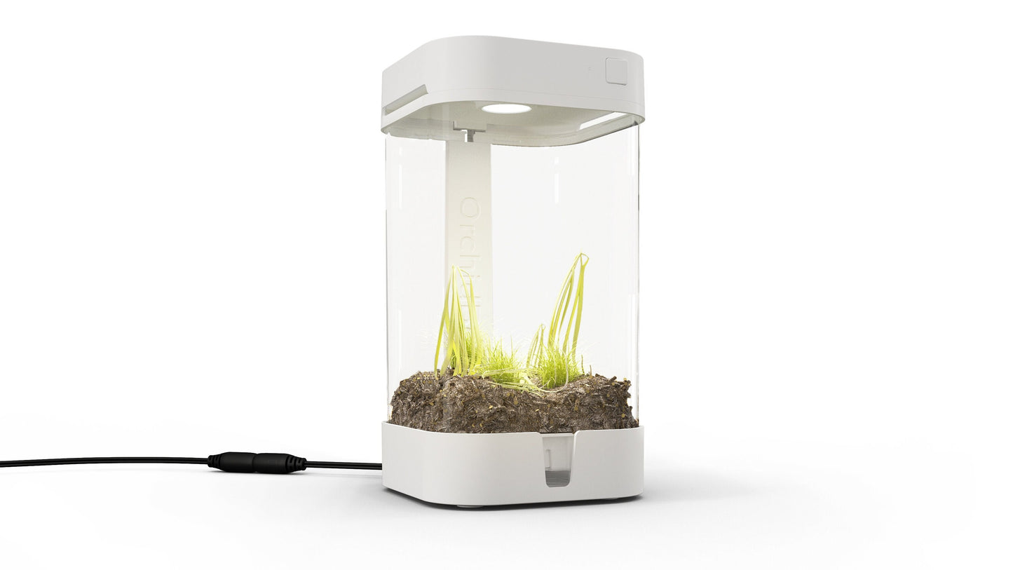 OrchidBox Mini (White) - for cuttings, carnivorous plants, mosses, and more