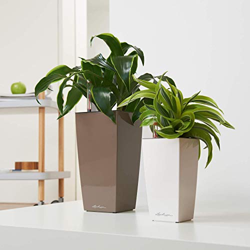 Lechuza Cubi Premium 9 Planter with Water Level Indicator, Mini, White High-Gloss