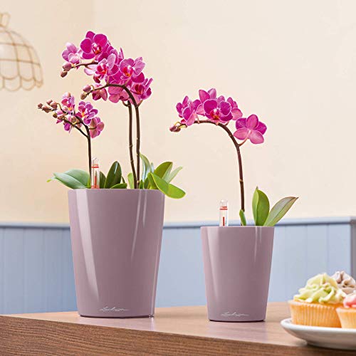 Lechuza Mini Deltini Self-Watering Garden Planter, Charcoal, 4" x 4" x 5"