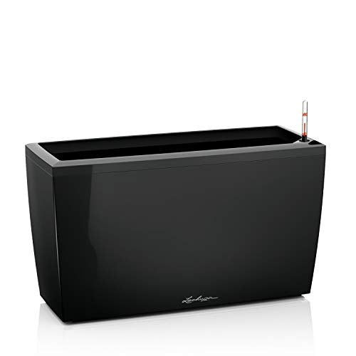 LECHUZA CARARO 75 Self Watering Planter Large Garden Flower Plant Pot Indoor/Outdoor Floor Planter with Drainage Hole and Plant Substrate Poly Resin H43 L75 W30 cm Black High-Gloss
