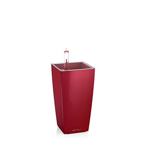 Lechuza MINI CUBI Tabletop Planter