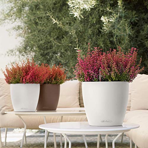 Lechuza 13170 Classico Color 21 Self Watering, 9x8 inches, White Matte Planter