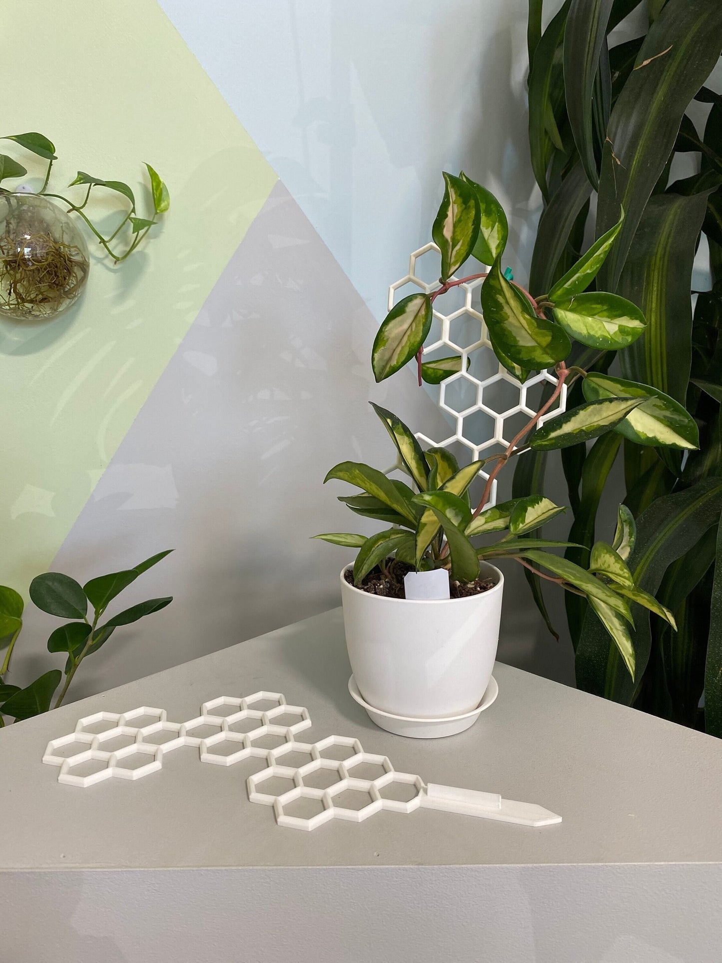 Hexagon Plant Trellis / Geometric 2D Moss Pole / Totem / Plant Support Stake by OrchidBox