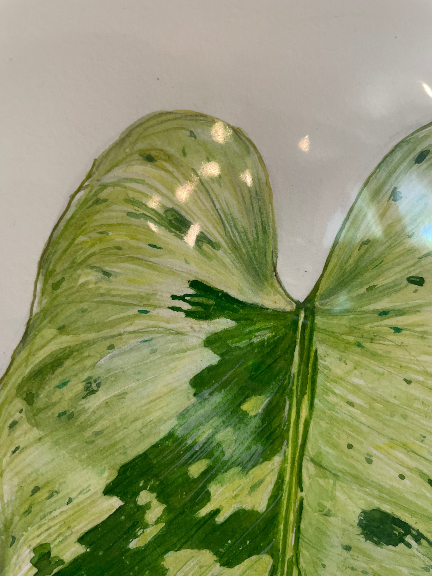 Aaron Apsley Original Watercolors 2019-2021 | In-Stock