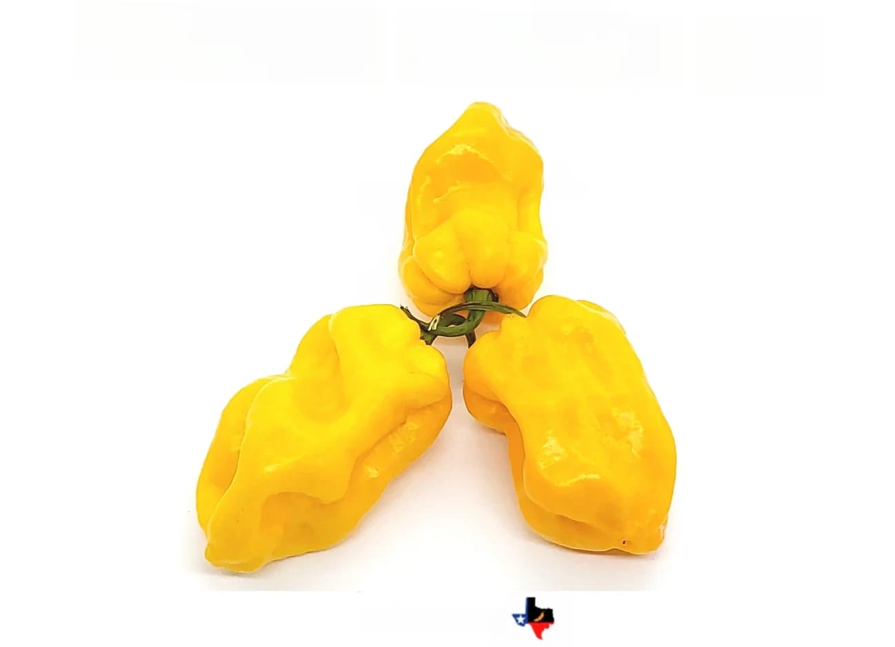 0b863911-cc52-4821-a9c8-08ab25ebc2fc.webp