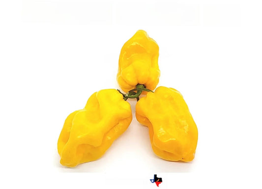 0b863911-cc52-4821-a9c8-08ab25ebc2fc.webp