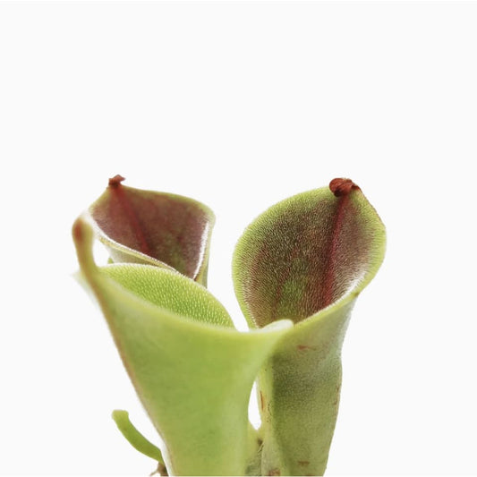 7eb3c308-95ce-4b85-baad-d3b91a3e3c4f.png