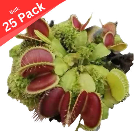 87e154f0-3c9a-40d4-9154-e2ed3c4c1f50.png
