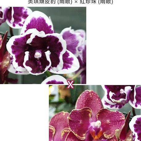 9238225d-5e33-48e9-9cc6-4c80a526b40c.jpg
