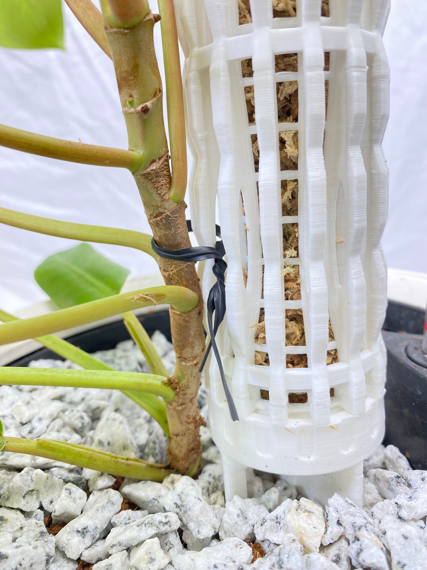 1.0″Φ/Mini Pro Series Plant Poles: Enhance Your Space with the Ultra-Sturdy Extendable Boho Designer Moss Pole by OrchidBox