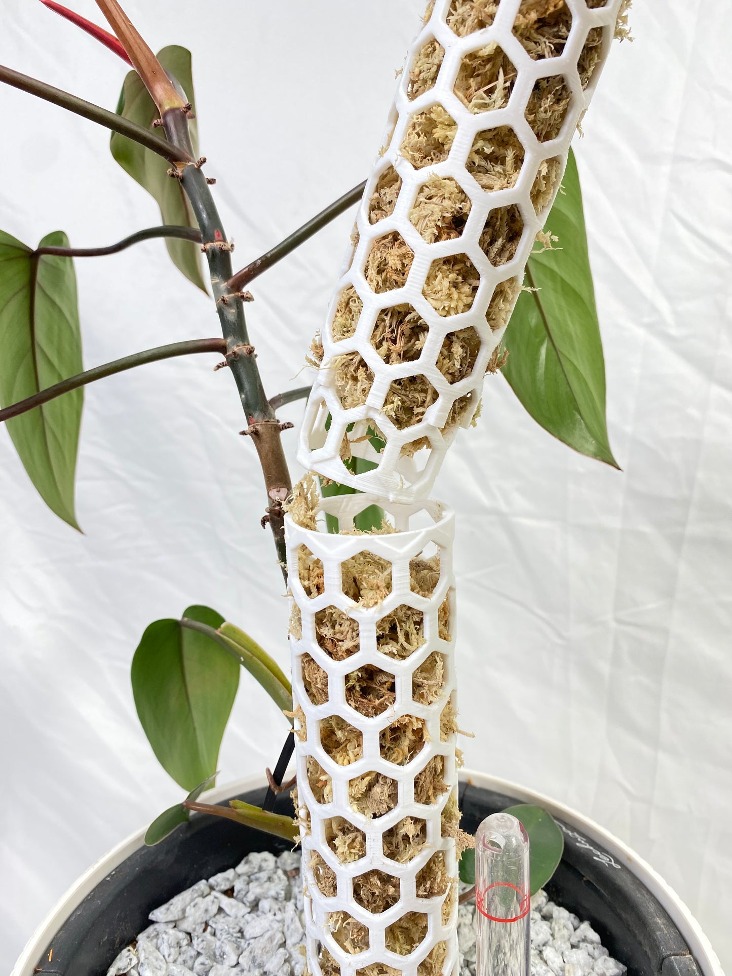 2.40″Φ/Large Designer Moss Pole - Modular Extendable Plant Moss Pole with Self-Watering Features