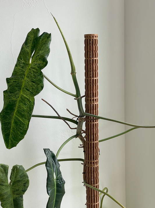 2.0″Φ/Large Pro Series Plant Poles: Enhance Your Space with the Ultra-Sturdy Extendable Boho Designer Moss Pole by OrchidBox