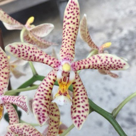 d6ba3c35-6c4a-4149-ba4f-78616fcd0757.jpg