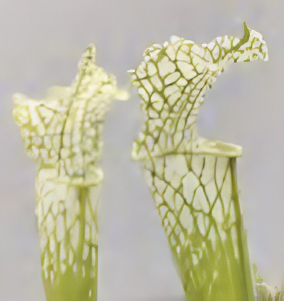 dfdadce4-32c0-42d7-a7b8-00381e798aa4.jpg