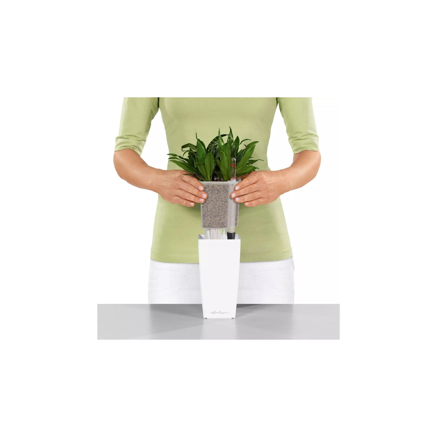 lechuza maxi cubi self-watering planter Lechuza MINI CUBI