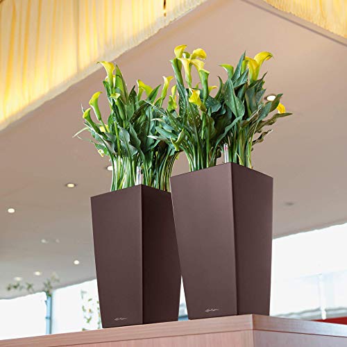 Lechuza 18469 CUBICO 22 Self Watering Planter Garden Flower Plant Pot Indoor/Outdoor Table Planter with Drainage Hole and Plant Substrate Poly Resin H41 L22 W22 cm Black High-Gloss