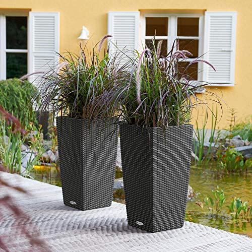 Lechuza Cubico Cottage 30 All-in-One Grey (Wicker Finish) Planter, Light Gray, 12" x 12" x 22"