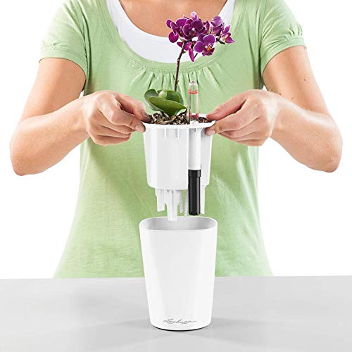 Lechuza 14950 Mini Deltini Self-Watering Garden Planter for Indoor and Outdoor Use, 3.9" x 3.9" x 5.1", White