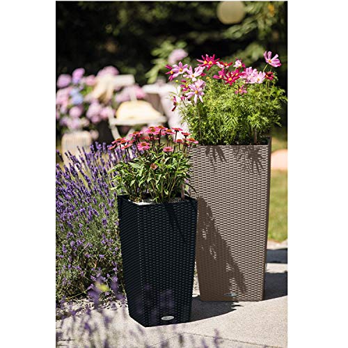 Lechuza Cubico Cottage 30 All-in-One(Wicker Finish) Planter, Sand Brown, 12" x 12" x 22"