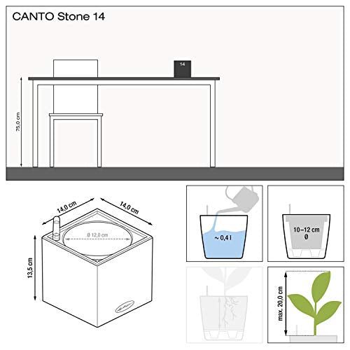Lechuza 13477 Canto Stone 14 Self-Watering Garden Planter for Indoor and Outdoor Use, 5.5" x 5.5" x 5.25", Quartz White