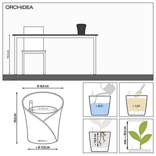 Lechuza ORCHIDEA Planter, White Matte, 7" x 7" x 8"
