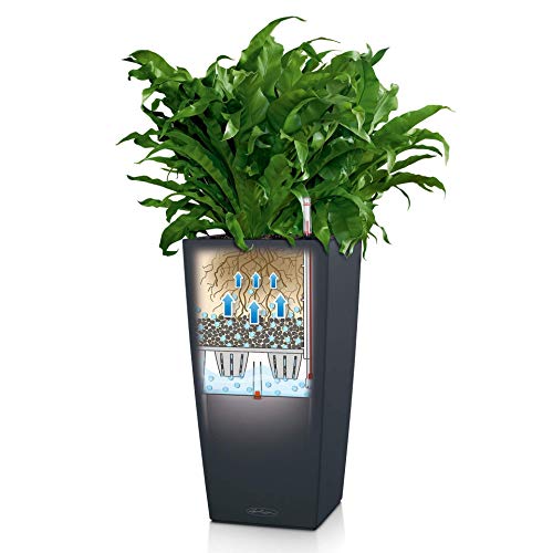 Lechuza 13158 Cubico Color 40-(30 inches Tall) Garden Indoor and Outdoor Use, Slate Matte Self Watering Planter, 30"