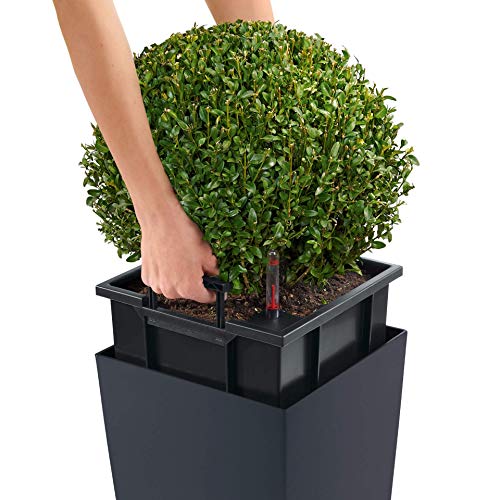 Lechuza 13158 Cubico Color 40-(30 inches Tall) Garden Indoor and Outdoor Use, Slate Matte Self Watering Planter, 30"