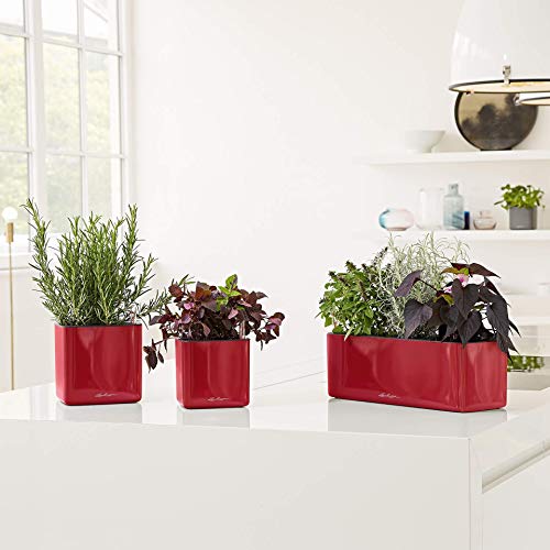 Lechuza Cube Glossy 16 Self-Watering Garden Planter, Scarlet Red, 7" x 7" x 6"