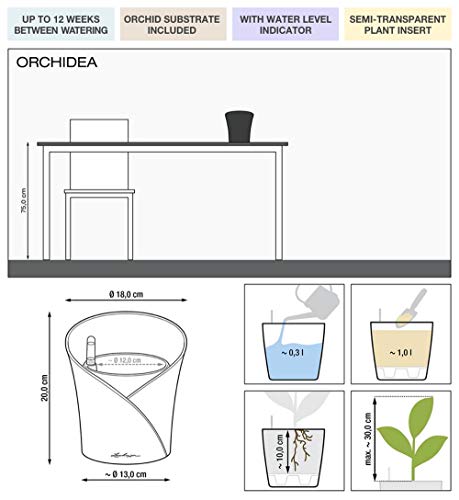 Lechuza 13961 ORCHIDEA Planter Self-Watering Garden Planter for Indoor and Outdoor Use, 7.2" x 7" x 7.7", Slate Matte