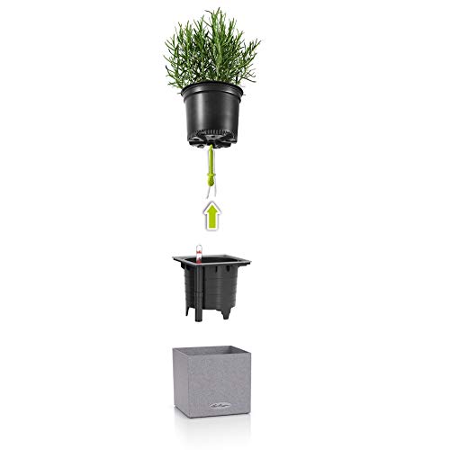Lechuza Canto 14 Cube Self-Watering Garden Planter, Stone Grey, 6" x 6" x 5"