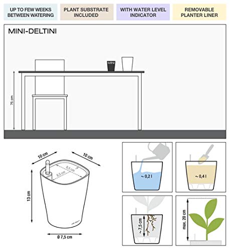 Lechuza Mini Deltini Self-Watering Garden Planter, Charcoal, 4" x 4" x 5"