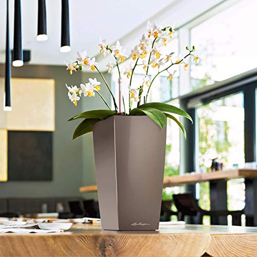 Lechuza 18050 Maxi Cubi Self Watering Garden Planter for Indoor and Outdoor Use, 6" x 6" x 10", White