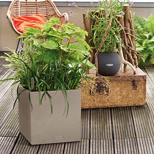 Lechuza 13700 Canto 30 Cube Self-Watering Garden Planter for Indoor and Outdoor Use, 12" x 12" x 12", Stone Grey