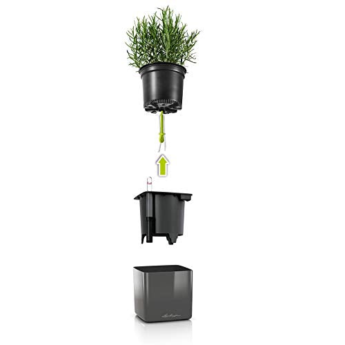 Lechuza Cube Glossy 14 Self-Watering Garden Planter, Scarlet, 6" x 6" x 5"
