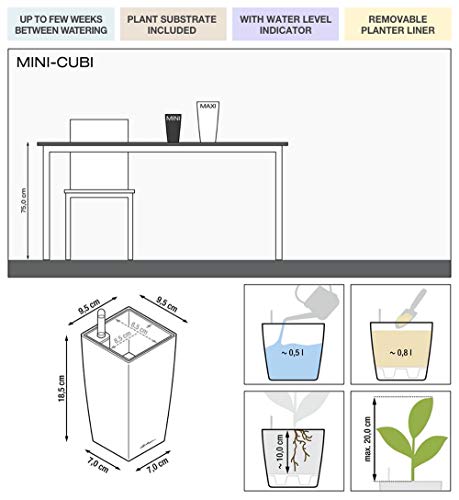 LECHUZA Mini CUBI Self Watering Planter Small Flower Plant Pot Indoor Table Planter Without Drainage Hole with Plant Substrate Poly Resin H18 L9 W9 cm Red High-Gloss