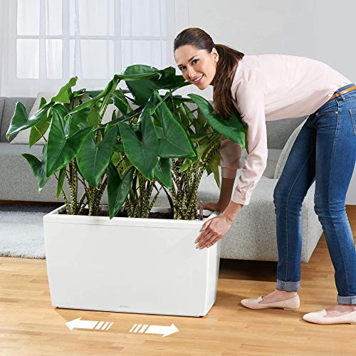 LECHUZA CARARO 75 Self Watering Planter Large Garden Flower Plant Pot Indoor/Outdoor Floor Planter with Drainage Hole and Plant Substrate Poly Resin H43 L75 W30 cm Black High-Gloss