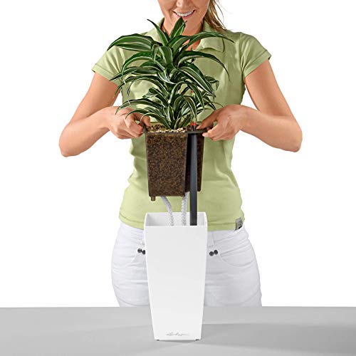 Lechuza 18053 Maxi Cubi Garden Indoor and Outdoor Use, Charcoal Metallic Self Watering Planter, 14cm