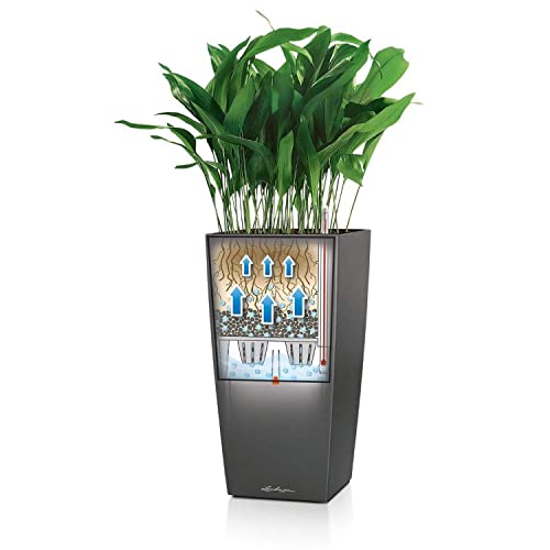 Lechuza 13164 Cubico Color 22-(16 inches Tall) Garden Indoor and Outdoor Use, Slate Matte Self Watering Planter, 16"