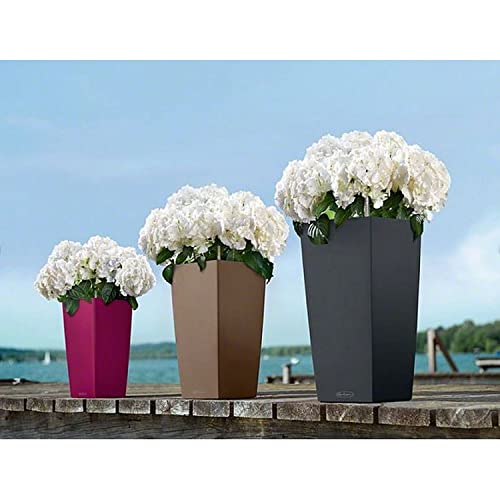 Lechuza 13164 Cubico Color 22-(16 inches Tall) Garden Indoor and Outdoor Use, Slate Matte Self Watering Planter, 16"