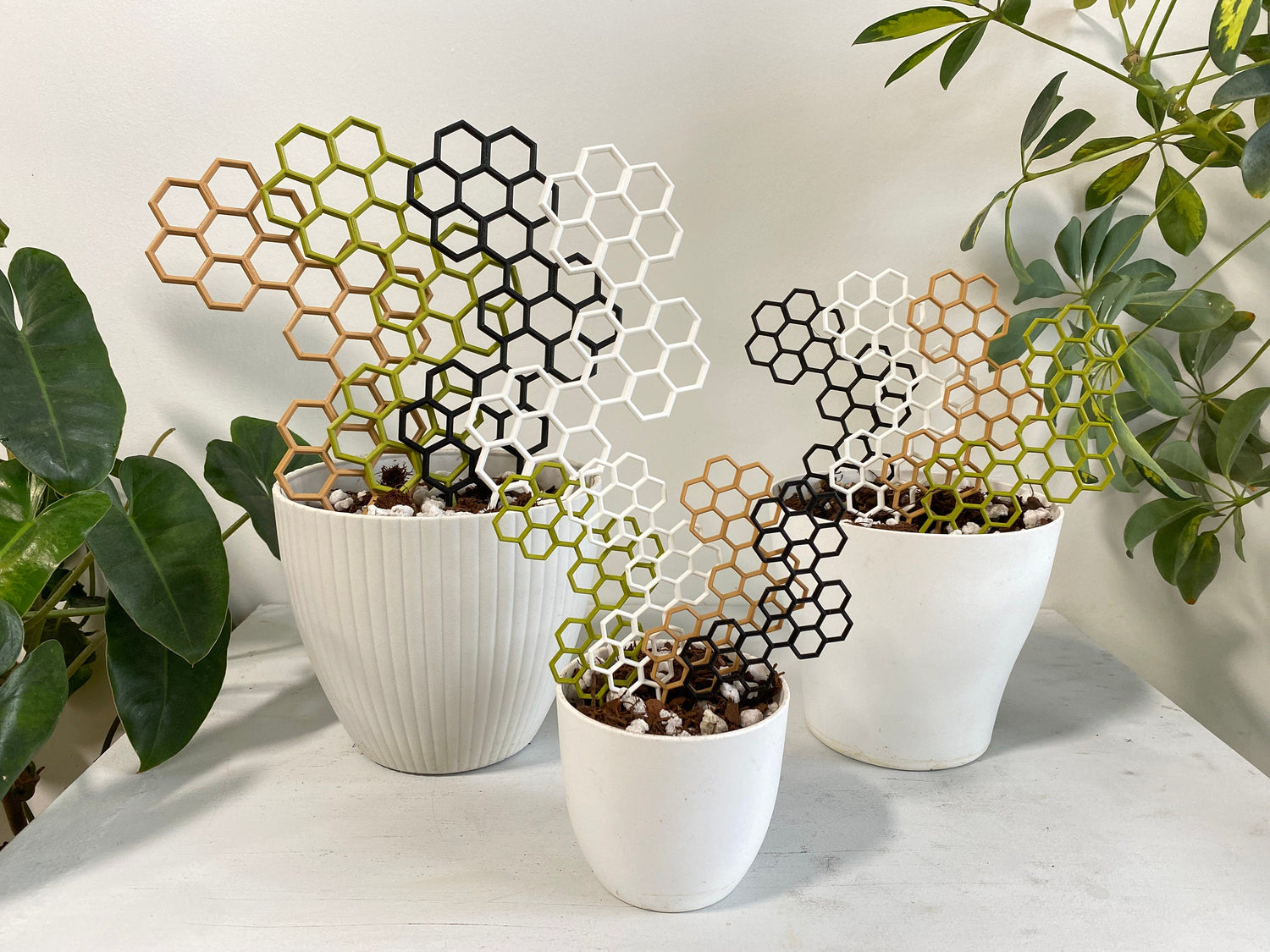 geometric plant trellis Hexagon Plant Trellis / Geometric 2D Moss Pole / Totem / Plant Support – OrchidBox