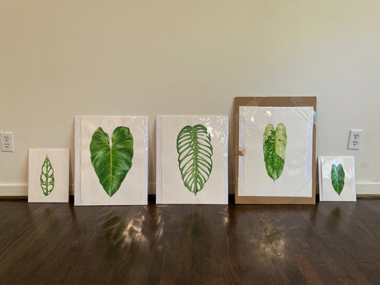 Aaron Apsley Original Watercolors 2019-2021 | In-Stock